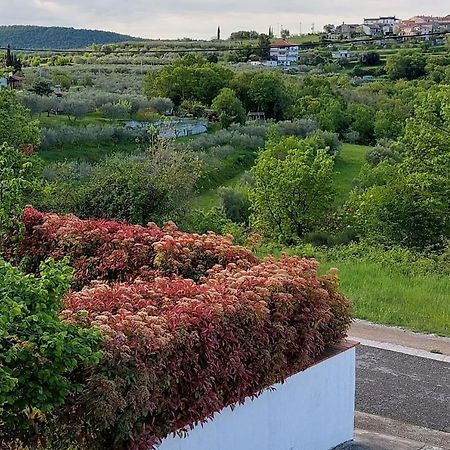 Aliana Apartment Sečovlje Exteriér fotografie